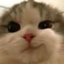 SMIRKCAT
