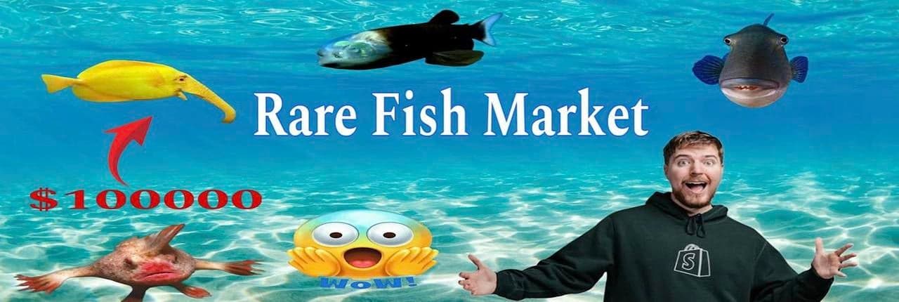 RareFishMarket Banner