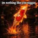 Koi