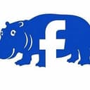 hippo