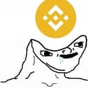 BNBMAXI