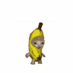 BANANACAT