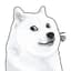 WHITEDOGE