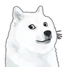 WHITEDOGE