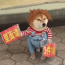 salarydog