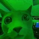 cozythecat