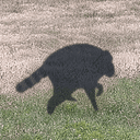 JIMOSHADOW