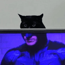 catman
