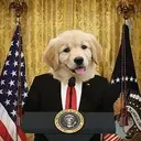 pup