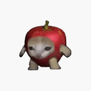 APPLCAT