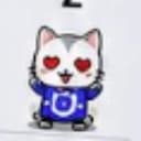 STOCKCAT