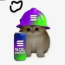 SOLCAT