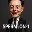 S1