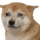 RDOG