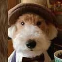 Benben