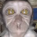 callmonkey