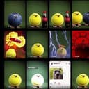 Tennisbird