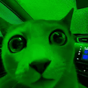 Marketcat