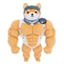 STEROID