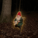 Gnomes