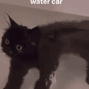 watercar