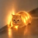 aura