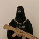 Paloma