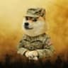 wardoge