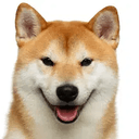 inu
