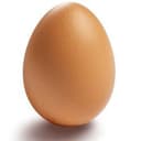 BIG EGG