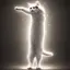 LONGCAT