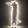 LONGCAT