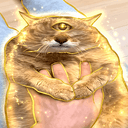 cOt