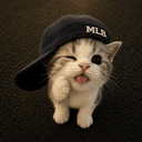 capcat