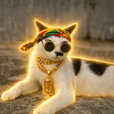 PONITHECAT