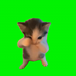 SCUBACAT