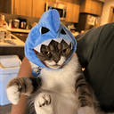 Mochi