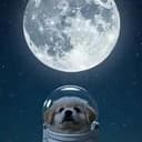 Moonbound