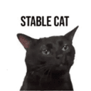 STABLECAT
