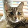 Ethel