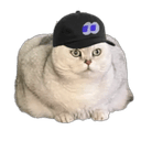 fomohat
