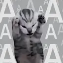 SHIJIU