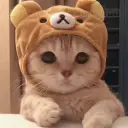 DOU
