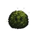 moss