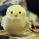 lilguy