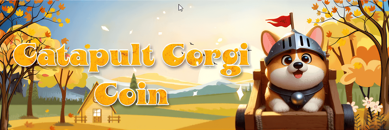 Catapult Corgi Banner
