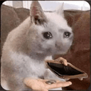 NOMONEY