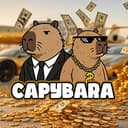 CAPY