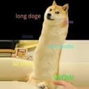 DOOOOOGE