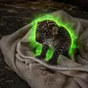 PEPE